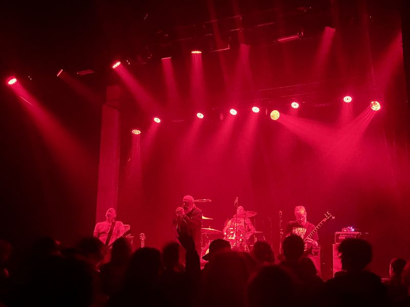 Beastwars at Meow Nui in Wellington on November 22, 2025