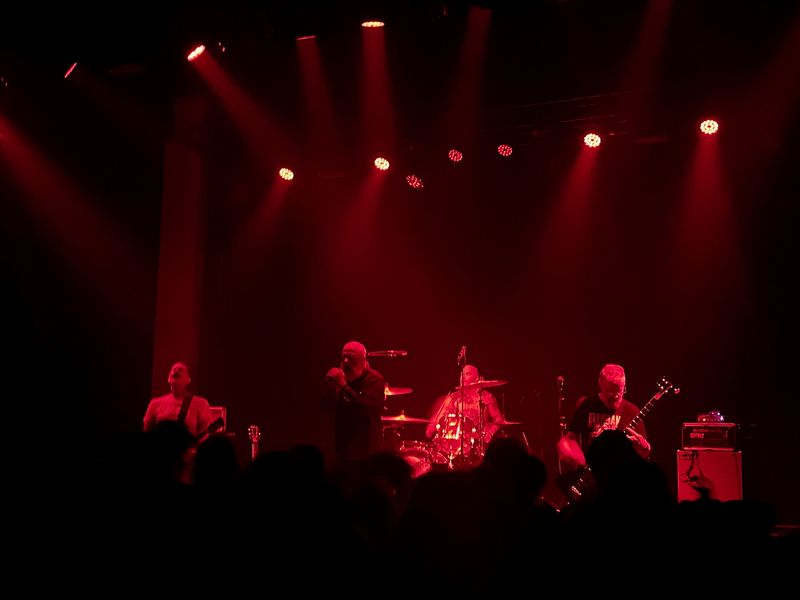 Beastwars at Meow Nui in Wellington on November 22, 2025