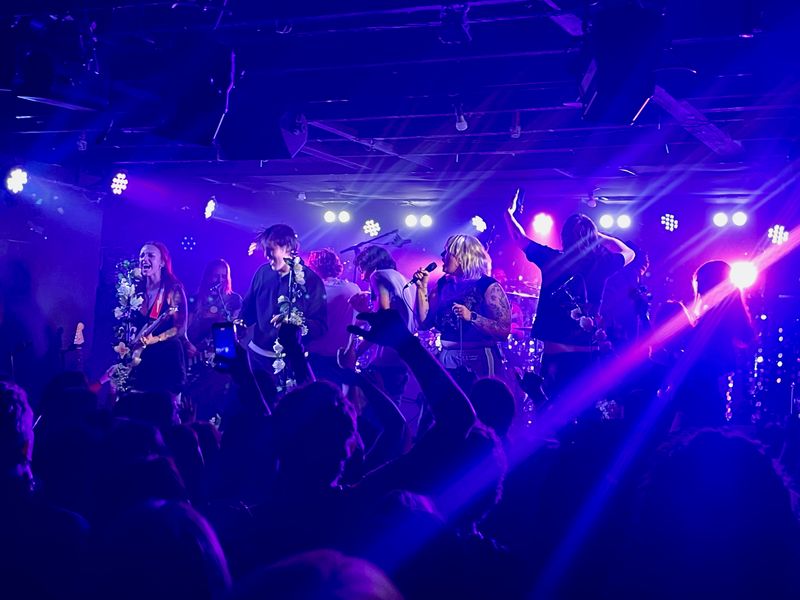 Teen Jesus & the Jean Teasers @ San Fran, Wellington, photo 9 of 9